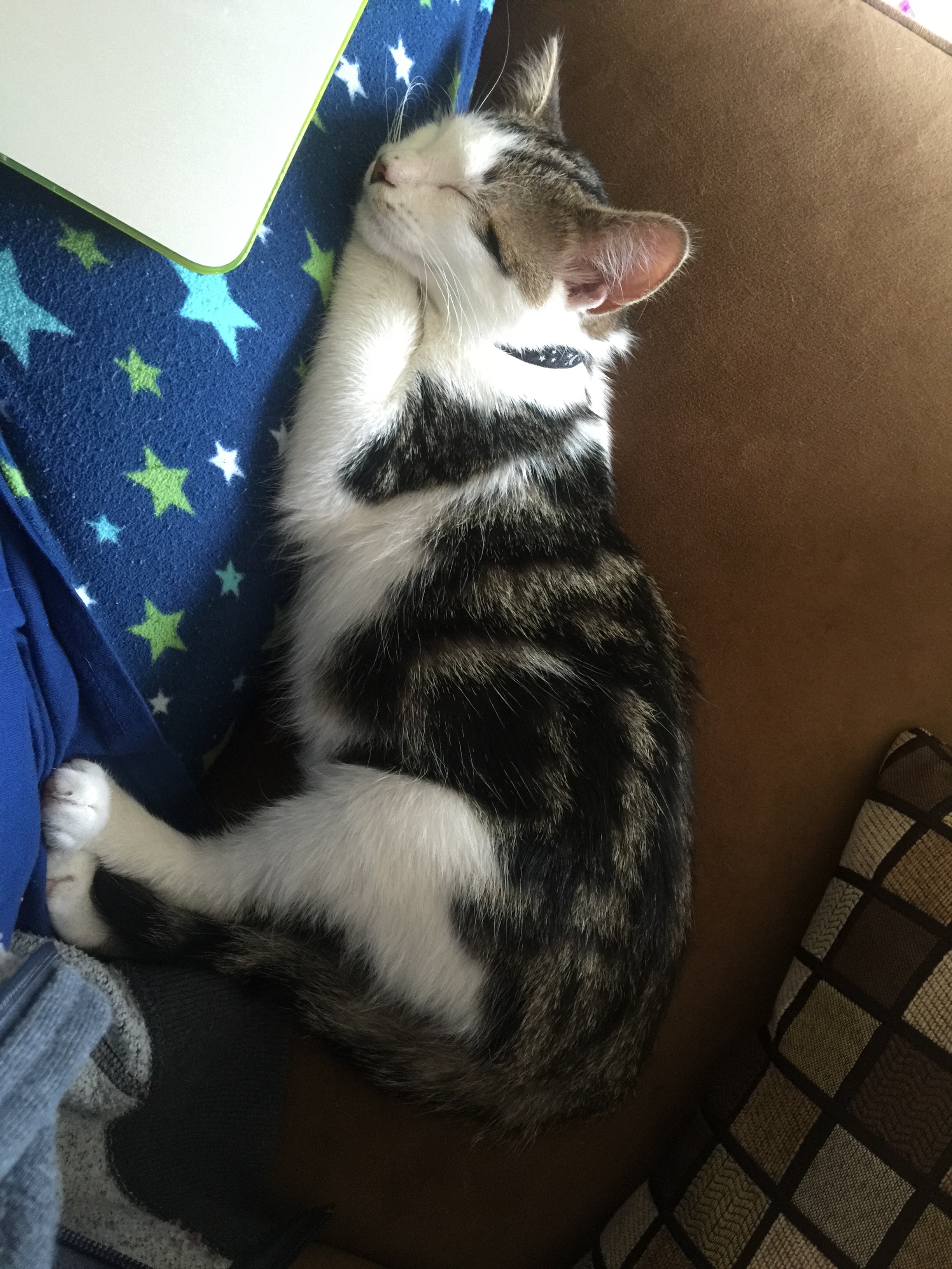 She loves to snuggle me.