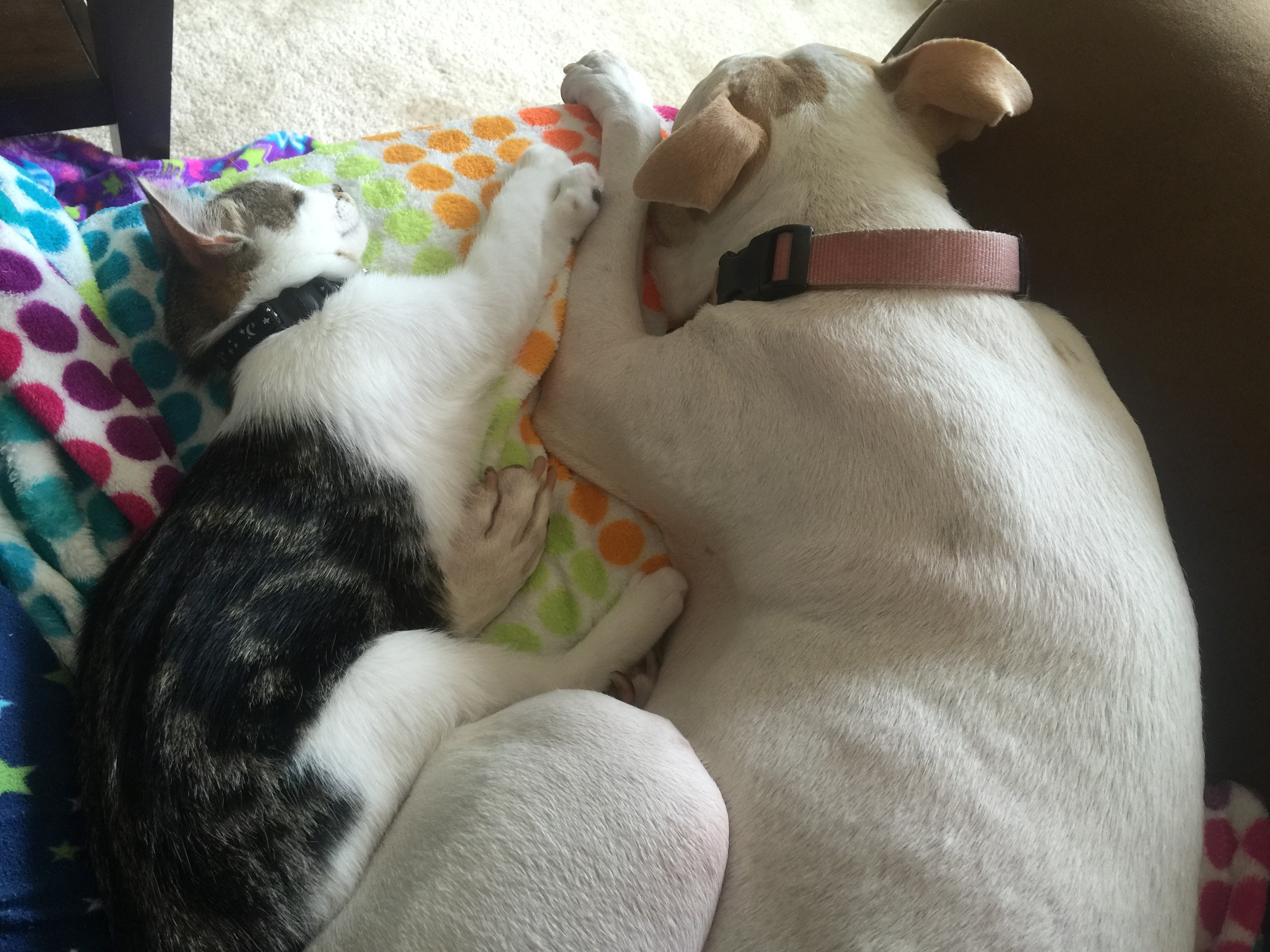 She loves her big sister Sam too!