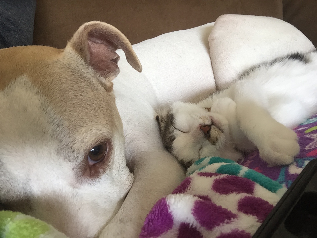 Ever seen anything as adorable as this!?