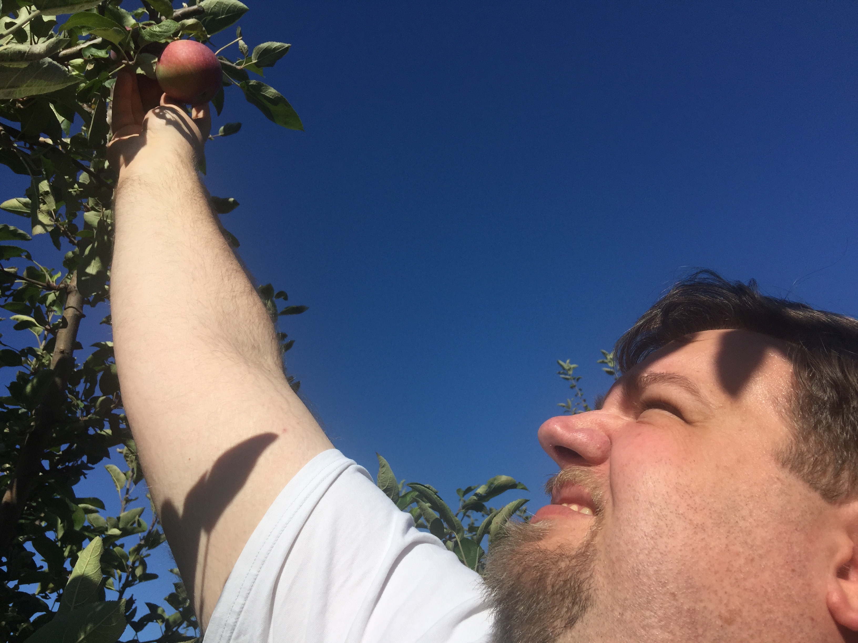 i has a fork-lift! Model no. B04T35 