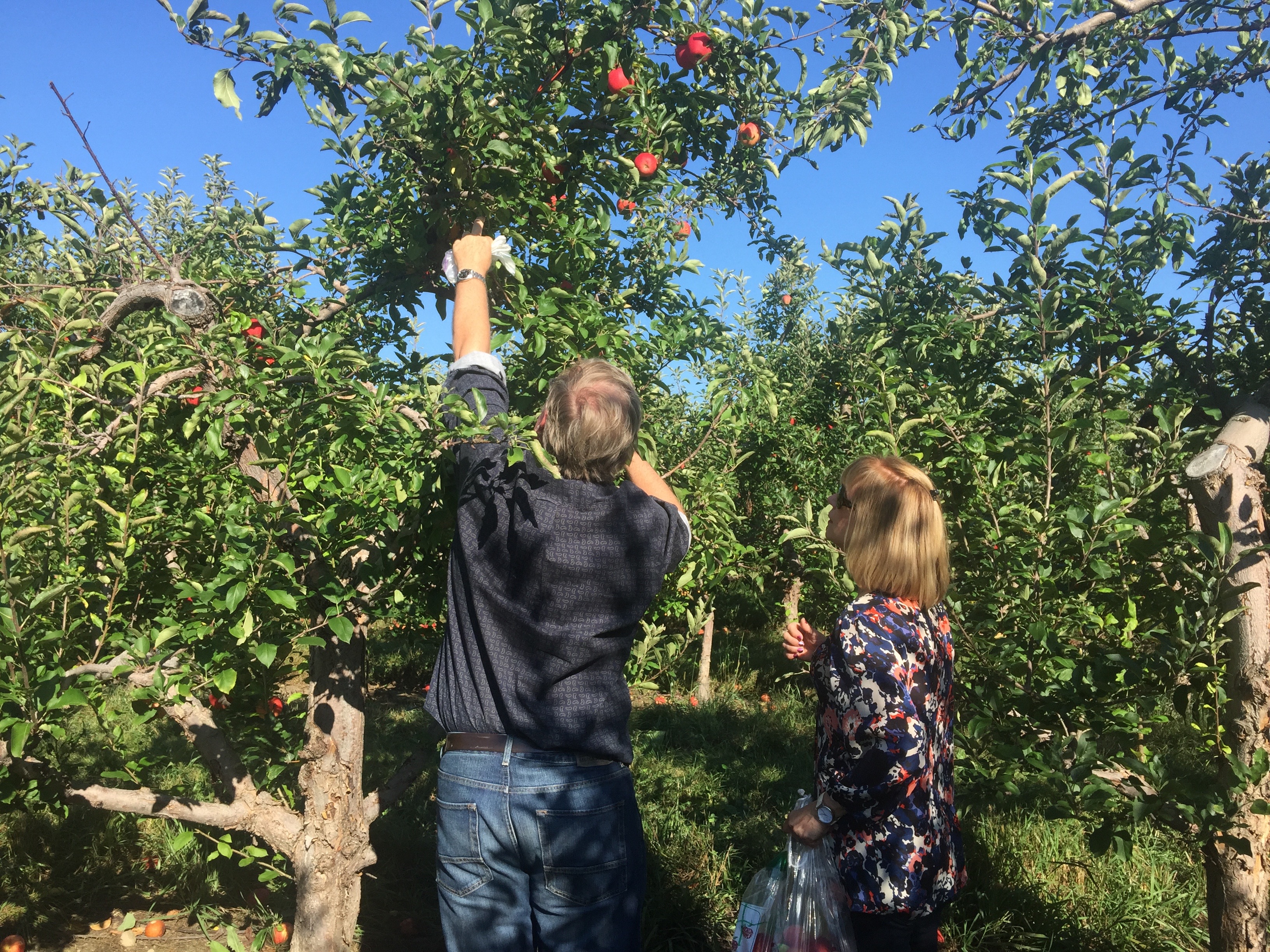 Making a stretch for the perfect one. 