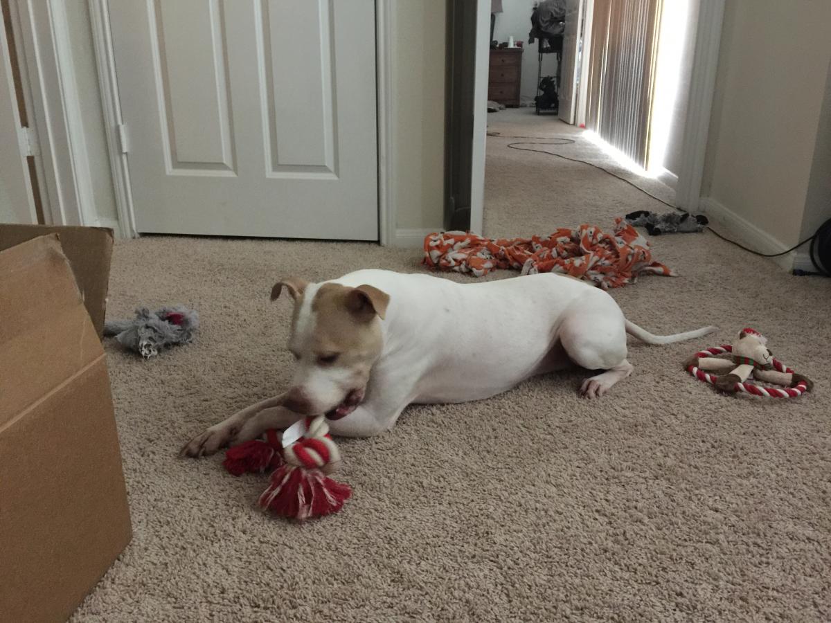 Sammie opening her presents before we leave        