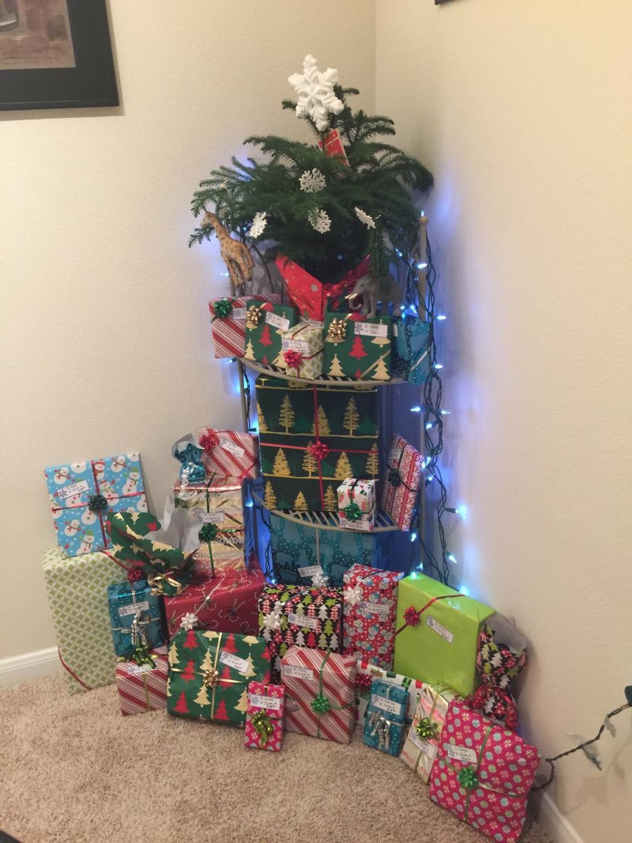 Our Christmas tree, Hubert, in Houston          