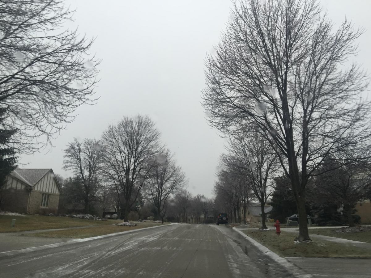 The beautiful view of cold           