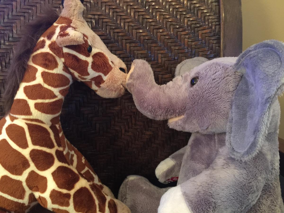 New Giraffe and elephant from BABW         