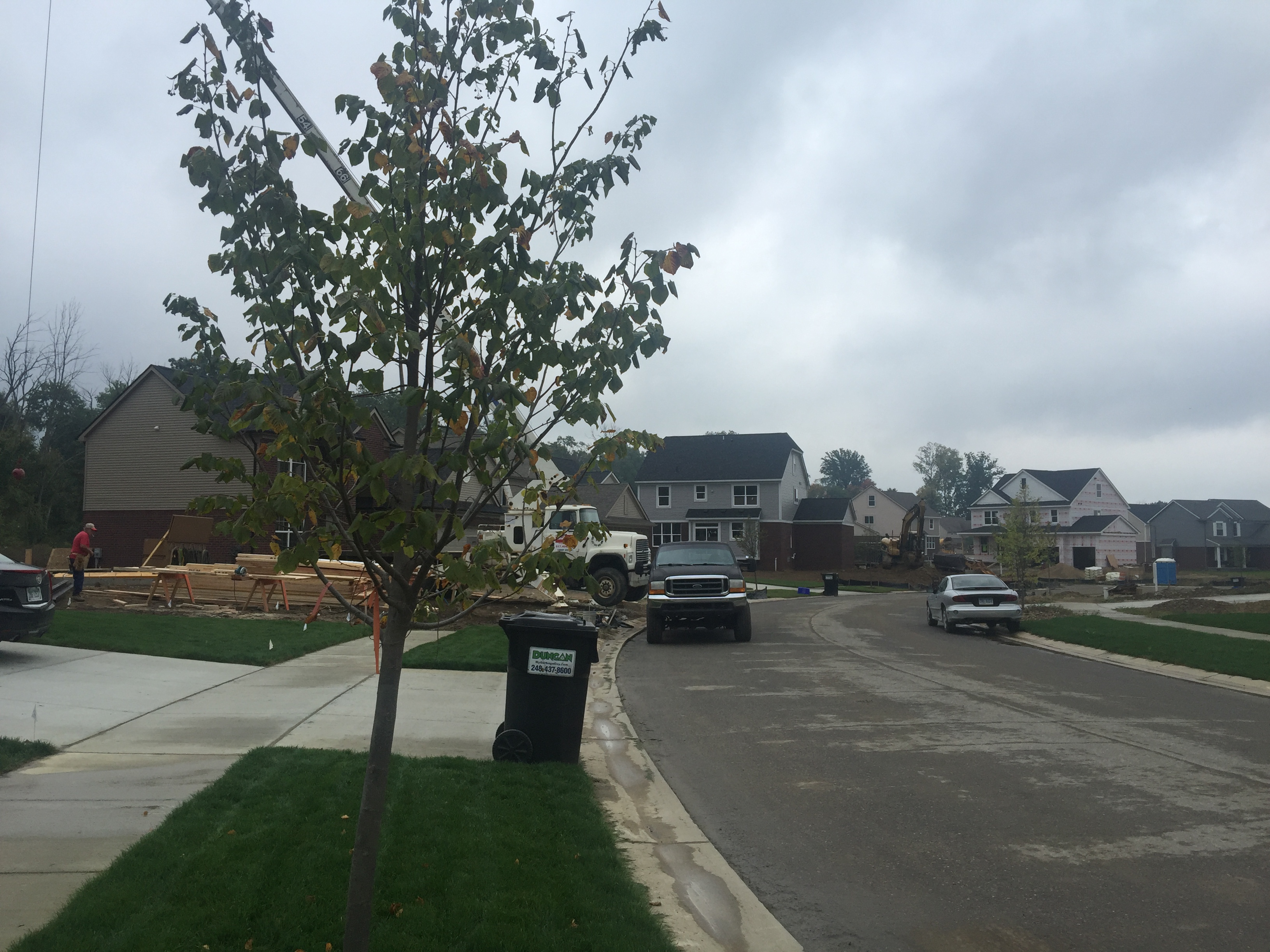 Looking to the left from our driveway.      
