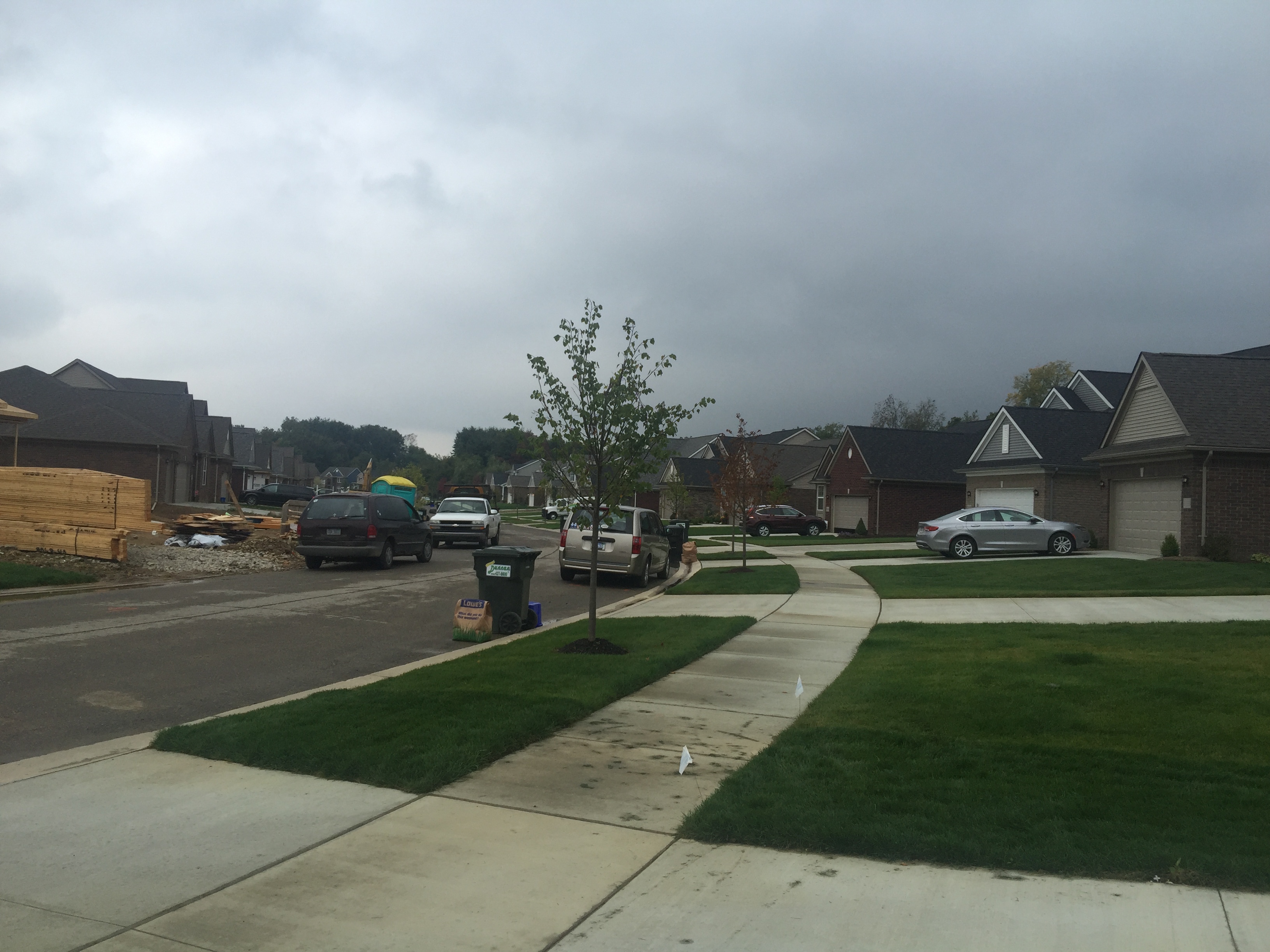 Looking to the right from driveway.      